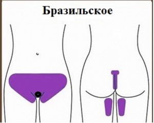 ��������, ���������, ��������. ����������� ������